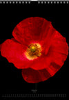 Calendar 2026 wit red poppy flower for sale at TOMs FLOWer CLUB, all pictures made by TOMas Rodak with his Hasselblad camera.