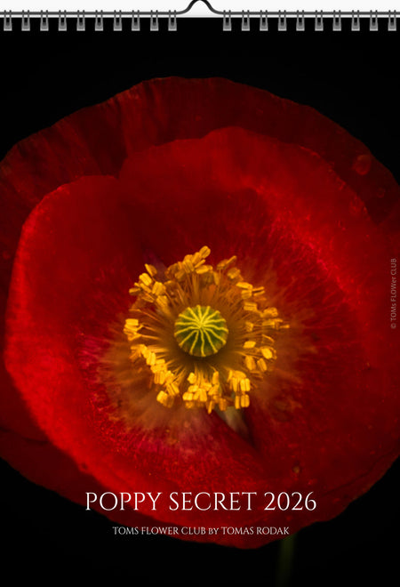 Calendar 2026 made by Swiss photographer TOMAS RODAK with a pancy flower offered for sale at TOMs FLOWer CLUB. 