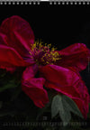 Tomas Rodak, Calendar 2026, Wandkalender 2026, Peony, Blumeninsel, Kalendar, New year, neues Jahr, Neujahr, Kalendar, for sale by TOMs FLOWer CLUB