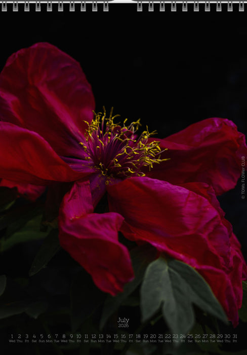 Tomas Rodak, Calendar 2026, Wandkalender 2026, Peony, Blumeninsel, Kalendar, New year, neues Jahr, Neujahr, Kalendar, for sale by TOMs FLOWer CLUB