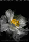 Tomas Rodak, Calendar 2026, Wandkalender 2026, Peony, Blumeninsel, Kalendar, New year, neues Jahr, Neujahr, Kalendar, for sale by TOMs FLOWer CLUB