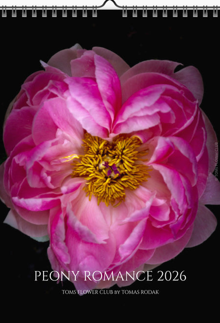 Calendar cover with a pink peony flower on a black background, featuring the text 'Peony Romance 2026' and 'Tomas Flower Club by Tomas Rodak'.
