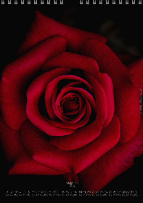 Tomas Rodak, Calendar 2026, Wandkalender 2026, rose, Rose, pink rose, pink , RUZE, Kalendar, New year, neues Jahr, Neujahr, Kalendar, for sale by TOMs FLOWer CLUB