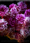 Tomas Rodak, Calendar 2026, Wandkalender 2026, rose, Rose, pink rose, pink , RUZE, Kalendar, New year, neues Jahr, Neujahr, Kalendar, for sale by TOMs FLOWer CLUB