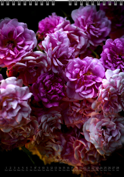 Tomas Rodak, Calendar 2026, Wandkalender 2026, rose, Rose, pink rose, pink , RUZE, Kalendar, New year, neues Jahr, Neujahr, Kalendar, for sale by TOMs FLOWer CLUB