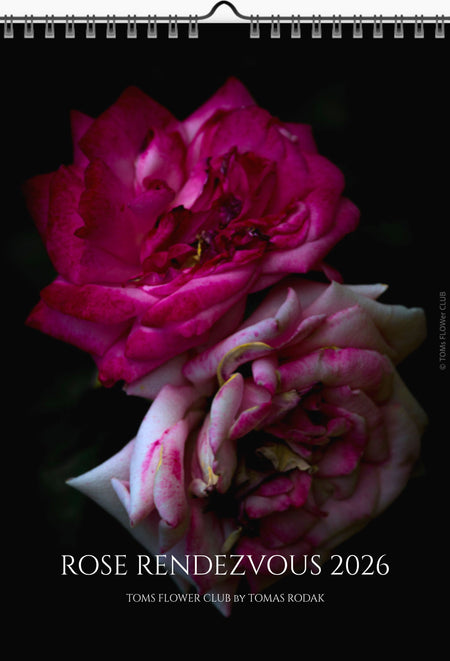 Tomas Rodak, Calendar 2026, Wandkalender 2026, rose, Rose, pink rose, pink , RUZE, Kalendar, New year, neues Jahr, Neujahr, Kalendar, for sale by TOMs FLOWer CLUB