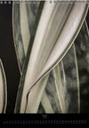Calendar 2026 with pictures of sansevieria, snake plant,  for sale by TOMS FLOWer CLUB, made by Swiss photographer TOMAS RODAK.