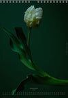 Calendar 2026 made by Swiss photographer TOMAS RODAK with a tulip flower offered for sale at TOMs FLOWer CLUB. 