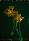 Calendar 2026 made by Swiss photographer TOMAS RODAK with a tulip flower offered for sale at TOMs FLOWer CLUB. 