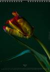 Calendar 2026 made by Swiss photographer TOMAS RODAK with a tulip flower offered for sale at TOMs FLOWer CLUB. 