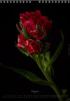 Calendar 2026 made by Swiss photographer TOMAS RODAK with a tulip flower offered for sale at TOMs FLOWer CLUB. 