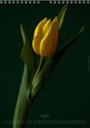 Calendar 2026 made by Swiss photographer TOMAS RODAK with a tulip flower offered for sale at TOMs FLOWer CLUB. 