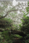 Tomas Rodak, Calendar 2026, Wandkalender 2026, TREE, TREES, BÄUME, BAUM, storm, stormy, arboretum, Tenerife, Anage mountains, Kalendar, New year, neues Jahr, Neujahr, Kalendar, for sale by TOMs FLOWer CLUB