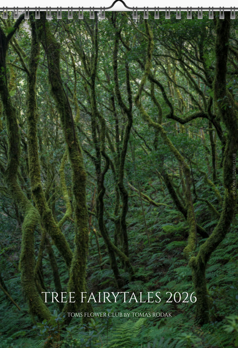 Tomas Rodak, Calendar 2026, Wandkalender 2026, TREE, TREES, BÄUME, BAUM, storm, stormy, arboretum, Tenerife, Anage mountains, Kalendar, New year, neues Jahr, Neujahr, Kalendar, for sale by TOMs FLOWer CLUB