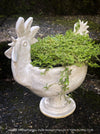 Hand-made ceramic rooster planter in beige–white glaze, standing 30cm tall, displayed without plant; unique 1/1 artisanal piece from TOMs FLOWer CLUB.