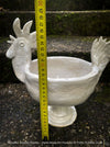 Full product image of the unique rooster-form ceramic pot, 30cm tall with drainage hole, photographed in TOMs FLOWer CLUB’s curated aesthetic.