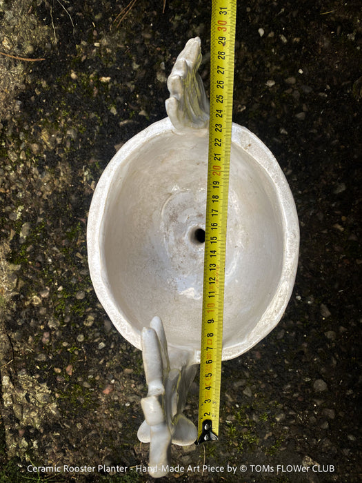 Ceramic rooster plant pot