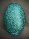 Emu egg, Emu Eier, TOMs FLOWer CLUB, home decoration, emerald green. 