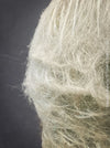 white hairs of Espostoa Nana, old man cactus, Kaktus, cactus, hairy cactus, organically grown succulent plants for sale at TOMs FLOWer CLUB.