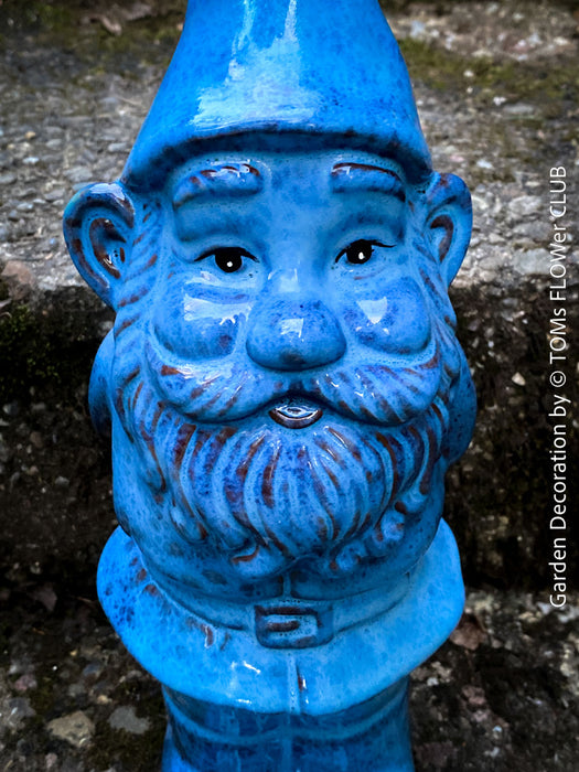 Garden Gnome in blue und green, garden sculpture decoration, for sale by TOMs FLOWer CLUB.