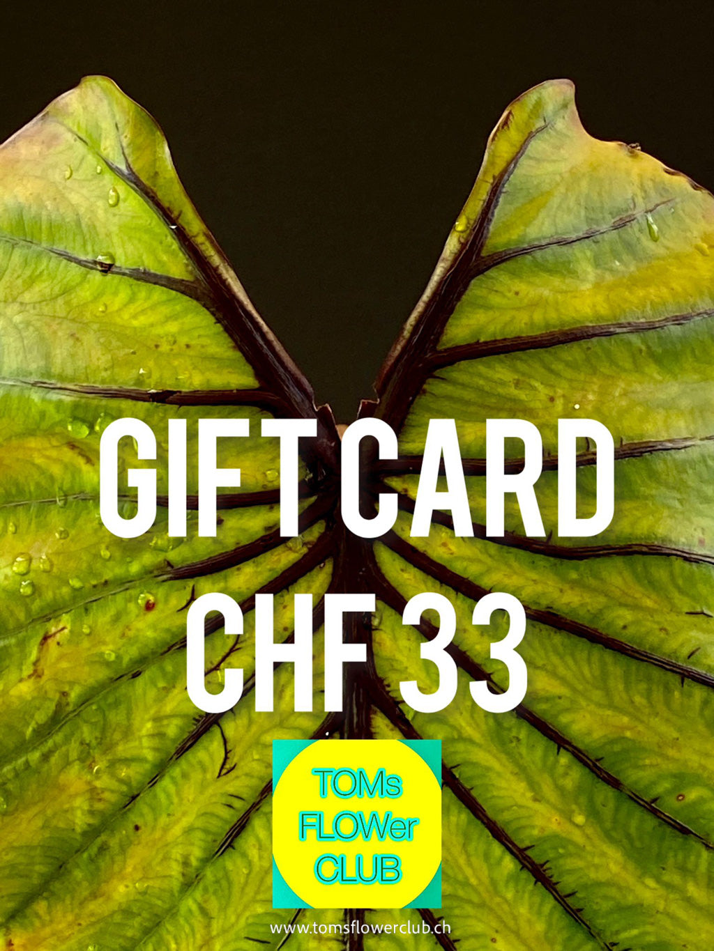 Give the gift of choice with TOMs FLOWer CLUB Gift Cards! Perfect for any occasion, offering unique plants, pots, art, and prints. Flexible values from CHF 11–1001!