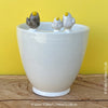 White, hand made, unique, ceramic plant pot without drain hole with three colourful birds on the pot top directly from the artist's work shop, offered for sale by TOMs FLOWer CLUB.