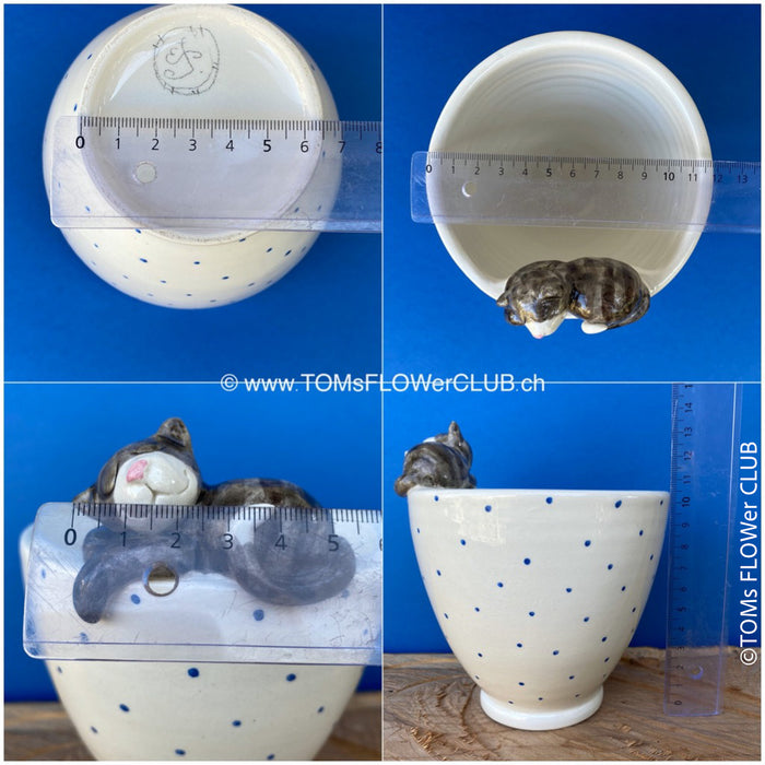 White, hand made, unique, ceramic plant pot with blue dots without drain hole with one sleeping black cat on the pot top directly from the artist's work shop, offered for sale by TOMs FLOWer CLUB.