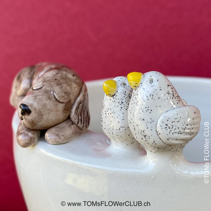 White, hand made, unique, ceramic plant pot without drain hole with two colourful birds and one sleeping dog on the pot top directly from the artist's work shop, offered for sale by TOMs FLOWer CLUB.