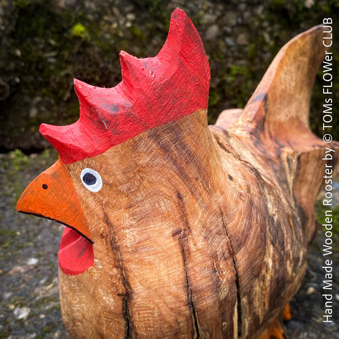 Handmade Chestnut Wooden Rooster, unique sculpture, art from TOMs FLOWer CLUB
