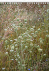 Tomas Rodak, Calendar 2024, Wandkalender, Kalendar, New year, neues Jahr, Neujahr, Kalendar, Wildblumen, wildflowers, Wiesenblumen, Landhaus, shabby shick, for sale by TOMs FLOWer CLUB.