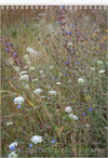 Tomas Rodak, Calendar 2024, Wandkalender, Kalendar, New year, neues Jahr, Neujahr, Kalendar, Wildblumen, wildflowers, Wiesenblumen, Landhaus, shabby shick, for sale by TOMs FLOWer CLUB.