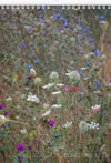 Tomas Rodak, Calendar 2024, Wandkalender, Kalendar, New year, neues Jahr, Neujahr, Kalendar, Wildblumen, wildflowers, Wiesenblumen, Landhaus, shabby shick, for sale by TOMs FLOWer CLUB.