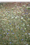 Tomas Rodak, Calendar 2024, Wandkalender, Kalendar, New year, neues Jahr, Neujahr, Kalendar, Wildblumen, wildflowers, Wiesenblumen, Landhaus, shabby shick, for sale by TOMs FLOWer CLUB.