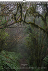 Tomas Rodak, Calendar 2024, Wandkalender 2024, TREE, TREES, BÄUME, BAUM, storm, stormy, arboretum, Tenerife, Anage mountains, Kalendar, New year, neues Jahr, Neujahr, Kalendar, for sale by TOMs FLOWer CLUB