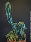 Myrtillocactus Geometrizans Cristata Blue, organically grown succulent plants for sale at TOMs FLOWer CLUB Myrtillocactus Geometrizans Cristata Crested Blue Myrtle Cactus Rare cactus varieties Succulent plants Ornamental cactus Cactus for indoor gardening Unusual cactus shapes How to care for Myrtillocactus Geometrizans Cristata Growing cacti Desert plants.