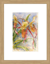 Paphiopedilum Berenice, Aquarelle-style paper print in oak wood frame, after an original photograph by Swiss photographer TOMas Rodak for sale at TOMs FLOWer CLUB. 