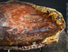 Reddish-brown petrified wood from Cherry Creek, Nevada, polished on both sides, 29 cm long, displayed with two wooden holders, for sale at TOMs FLOWer CLUB in Zurich, Switzerland.