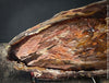 Reddish-brown petrified wood from Cherry Creek, Nevada, polished on both sides, 29 cm long, displayed with two wooden holders, for sale at TOMs FLOWer CLUB in Zurich, Switzerland.