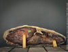 Reddish-brown petrified wood from Cherry Creek, Nevada, polished on both sides, 29 cm long, displayed with two wooden holders, for sale at TOMs FLOWer CLUB in Zurich, Switzerland.