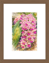 Rhynchostylis Gigantea Pink Spots, Aquarelle-style paper print in walnut wood frame, after an original photograph by Swiss photographer TOMas Rodak for sale at TOMs FLOWer CLUB. 