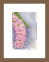 Rhynchostylis Retusa, Aquarelle-style paper print in walnut wood frame, after an original photograph by Swiss photographer TOMas Rodak for sale at TOMs FLOWer CLUB. 