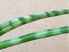 Sansevieria Cylindrica Fernwood Mikado, organically grown succulent plants for sale at TOMs FLOWer CLUB.