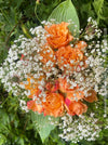 Atmospheric seasonal winter flowers arranged in an elegant bouquet from TOMs FLOWer CLUB