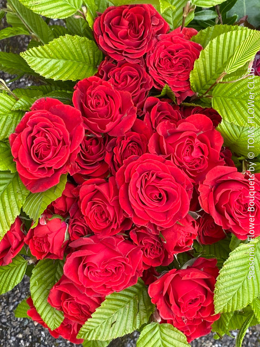 red summer roses arrangement with fresh seasonal flowers from TOMs FLOWer CLUB