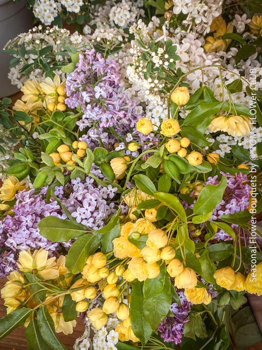 Fresh spring flower arrangement with tulips, daffodils and seasonal greenery