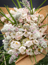 Colourful summer flower arrangement with fresh seasonal flowers