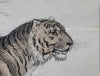 Tiger print, the Naturalist's Library, Sir William Jardine William Lizars, 1830s-1840s, London & Edinburgh, Druck, Grafika, coloured etching on paper, art for sale, TOMs ART FLOWer CLUB, TOMs FLOWer CLUB, TOMas Rodak, London animal art, antique 