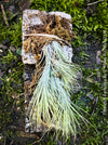 Tillandsia Funkiana on driftwood, organically grown air plants for sale at TOMs FLOWer CLUB.