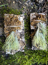 Tillandsia Funkiana on driftwood, organically grown air plants for sale at TOMs FLOWer CLUB.