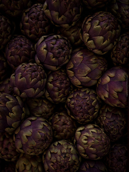 TOMAS RODAK, TOMs FLOWer CLUB, Kochbuch, Kochen, organic vegetable, Gemüse, Bio, TOMs FLOWer CLUB, Tomas Rodak, photography, Landhaus, country side, leaf photography, Blattfoto, Kitchen design, pictures for kitchen, Küchen, Küche, Farmers market, green still life